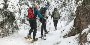How to choose snowshoes?