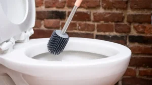 10 Best Toilet Brush Reviews In 2023