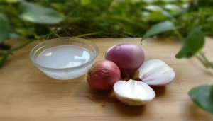 How To Extract Onion Juice